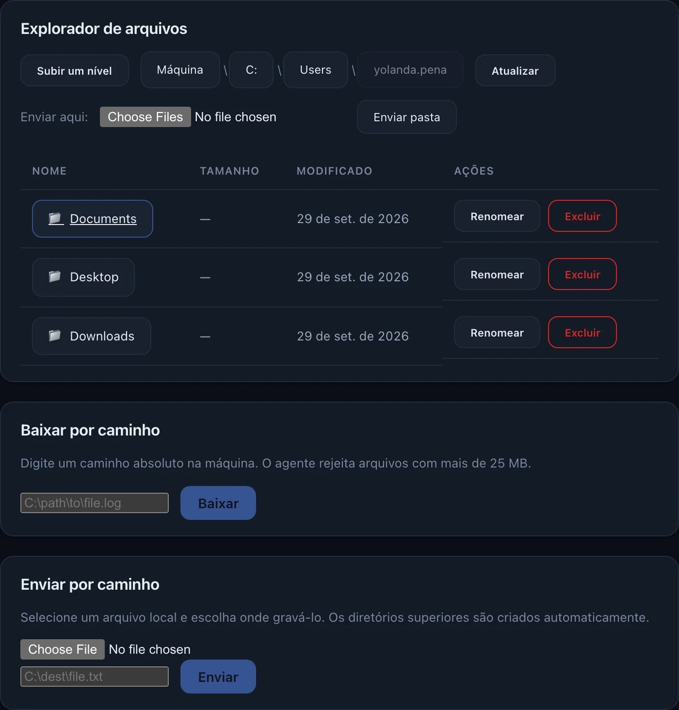 Explorador de arquivos com os documentos de um usuário e botões para renomear ou apagar.
